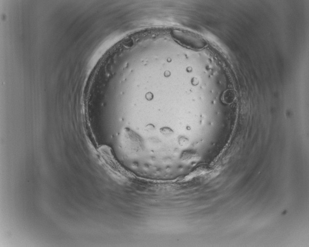 X0000069391287200605150934