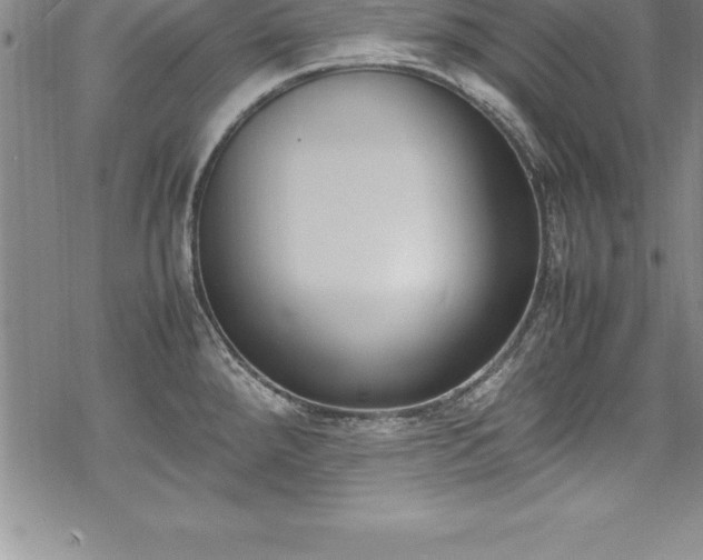 X0000069391288200605150934