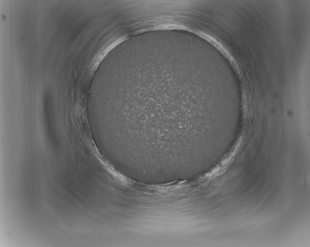 X0000069391289200605150934