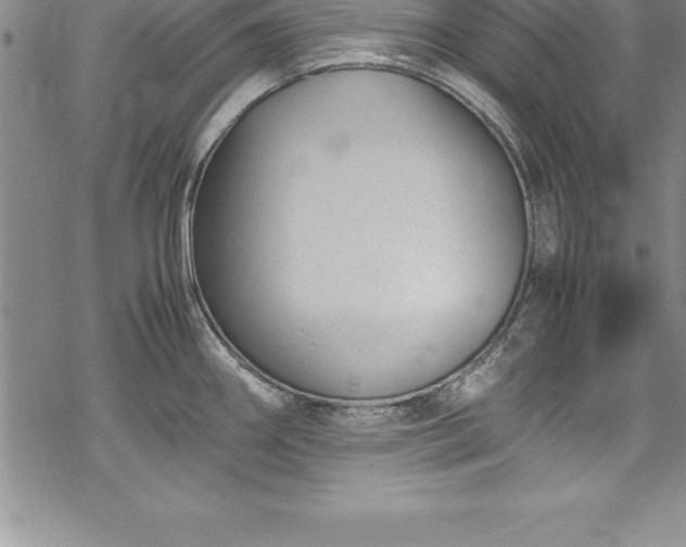 X0000069391290200605150934