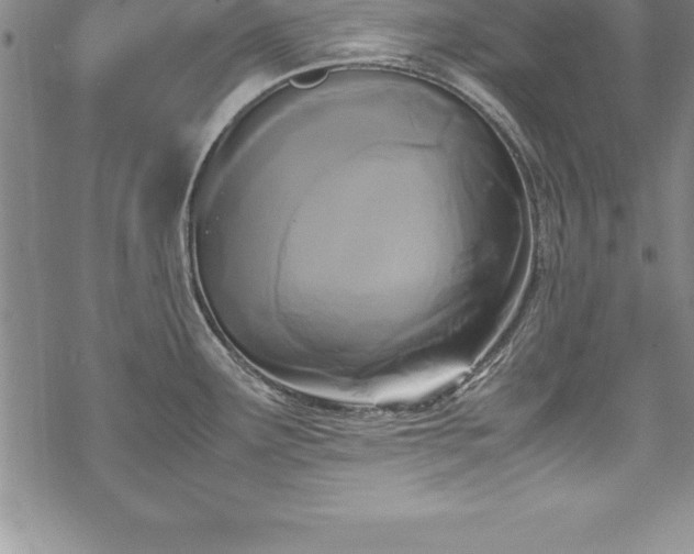 X0000069391291200605150933