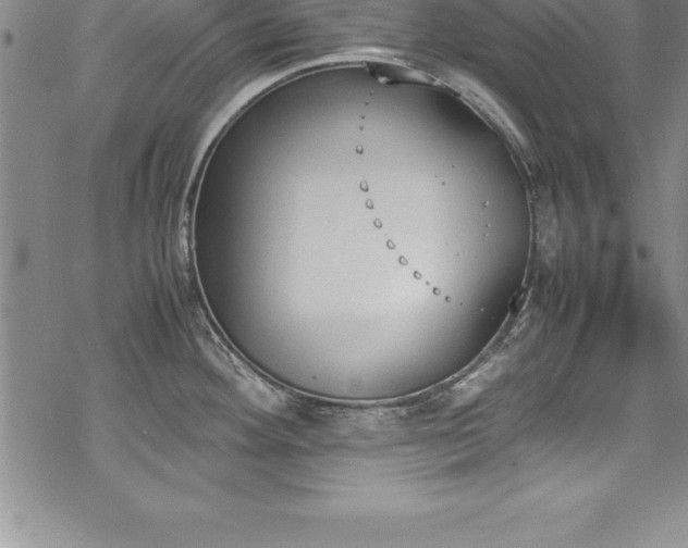 X0000069391292200605150933