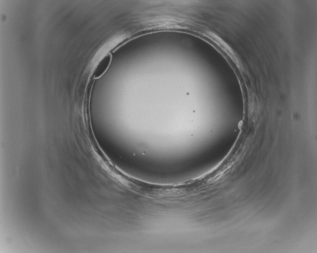 X0000069391293200605150933