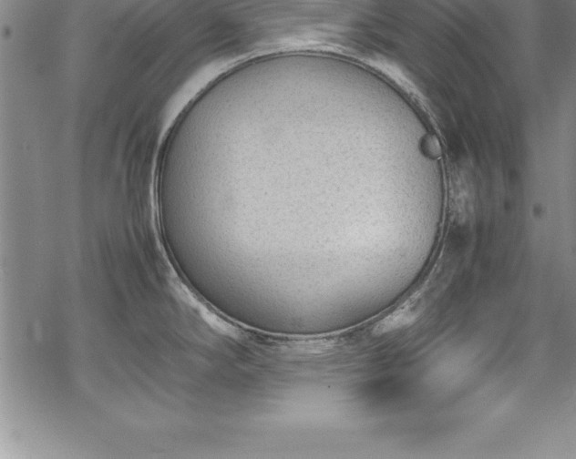 X0000069391294200605150933