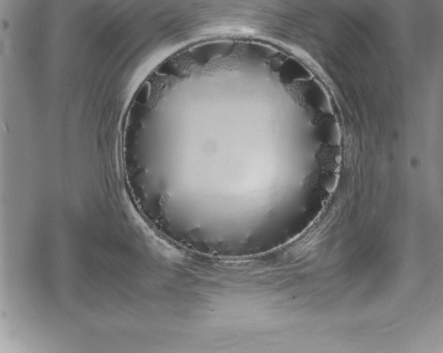 X0000069391295200605150933