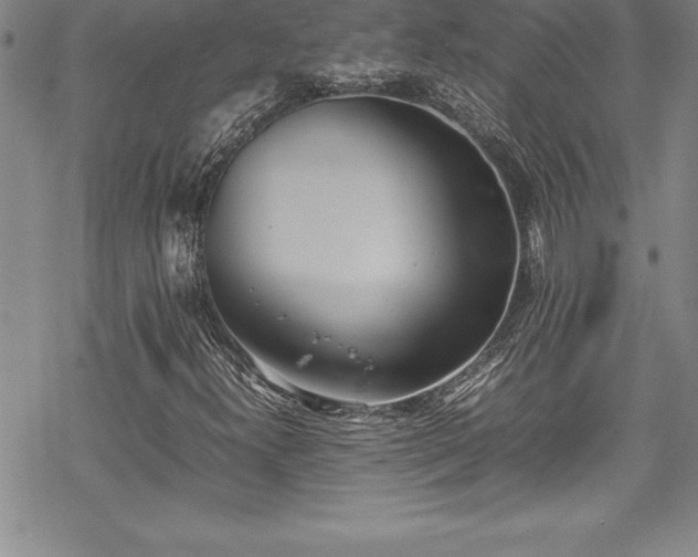 X0000069391300200605150933