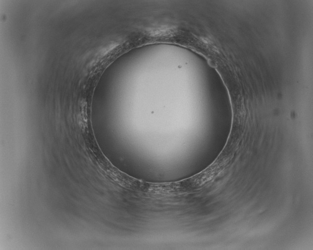 X0000069391301200605150933