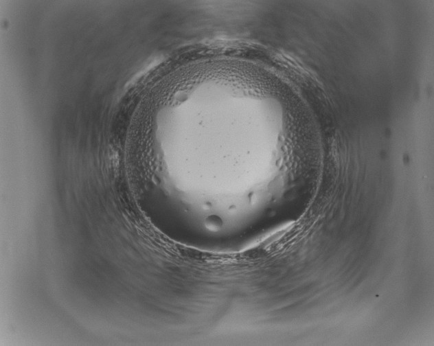 X0000069391302200605150933