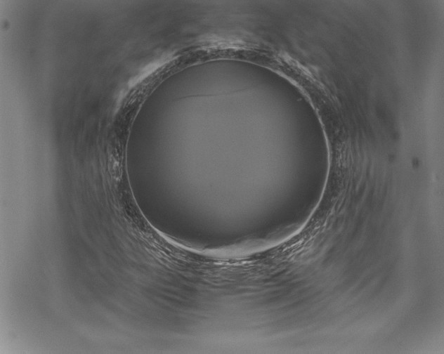 X0000069391303200605150933