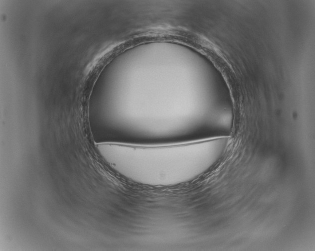 X0000069391304200605150933