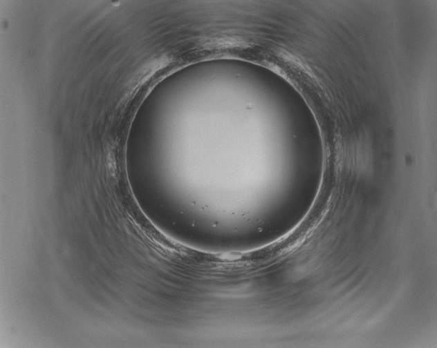 X0000069391305200605150933