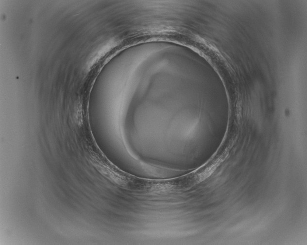 X0000069391306200605150933