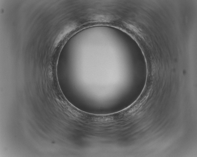 X0000069391307200605150933