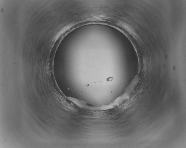 X0000069391308200605150933