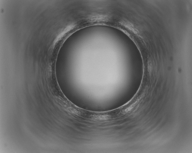 X0000069391309200605150933