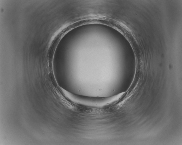 X0000069391310200605150933