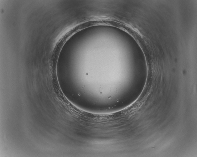 X0000069391311200605150933