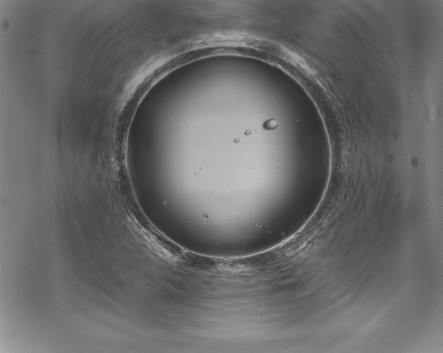 X0000069391312200605150933