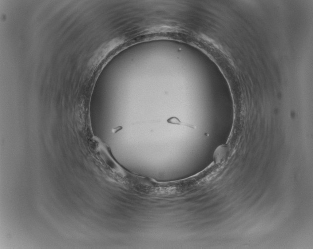 X0000069391313200605150933