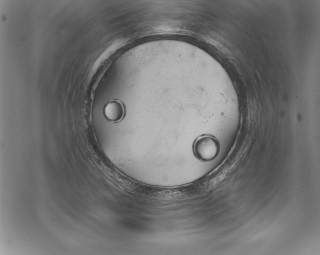 X0000069391314200605150933