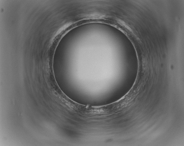 X0000069391315200605150933