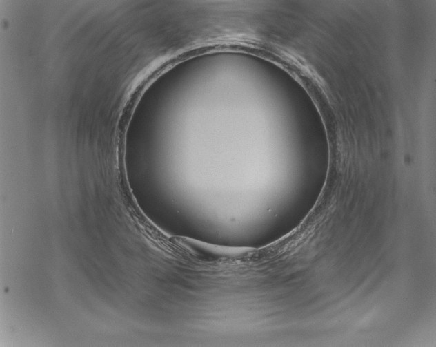 X0000069391316200605150933