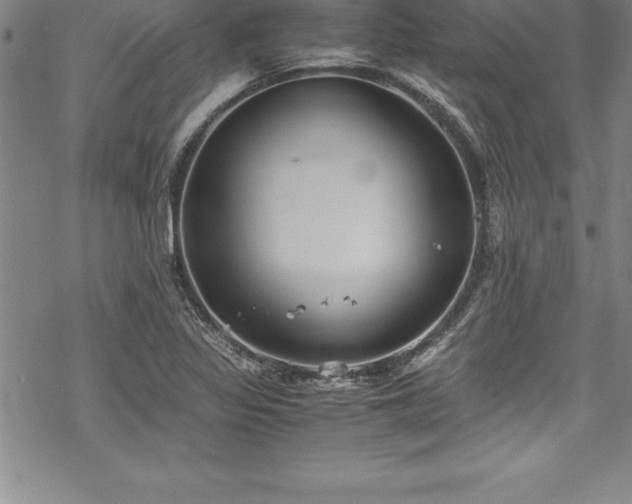 X0000069391317200605150933