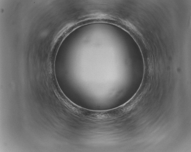 X0000069391318200605150933