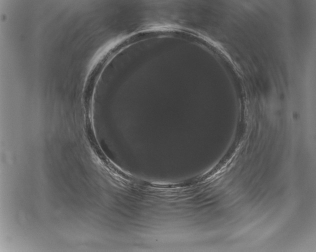 X0000069391319200605150933