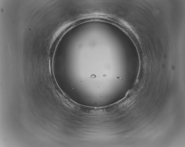 X0000069391320200605150933