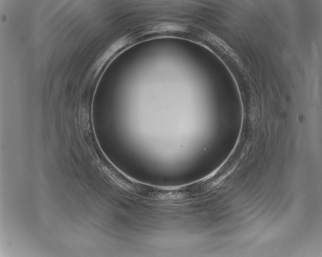 X0000069391321200605150933