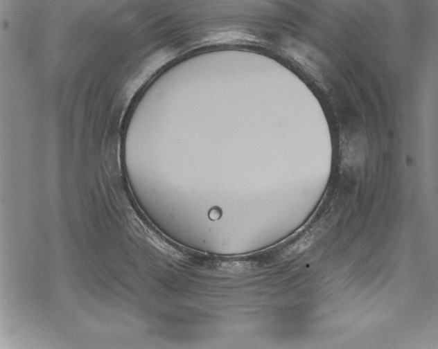 X0000069391322200605150933