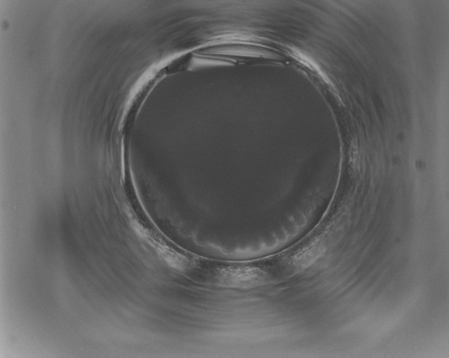 X0000069391323200605150933