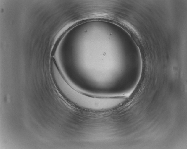 X0000069391324200605150933