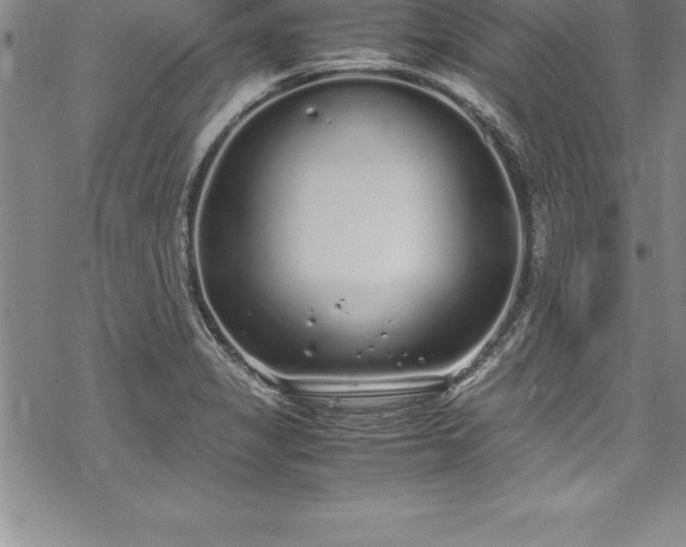 X0000069391325200605150933