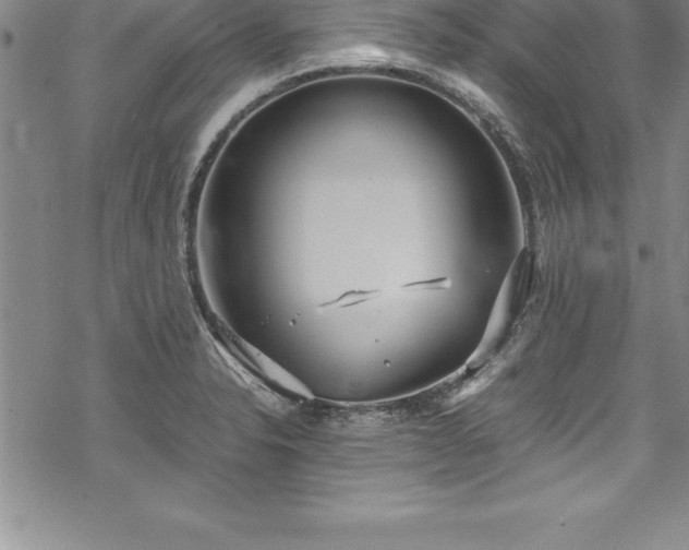 X0000069391326200605150933