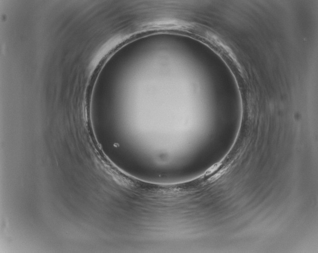 X0000069391328200605150933