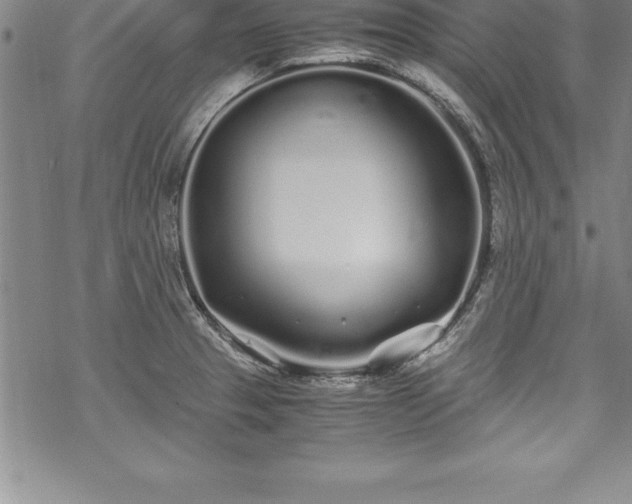 X0000069391329200605150933