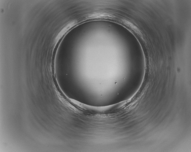 X0000069391330200605150933