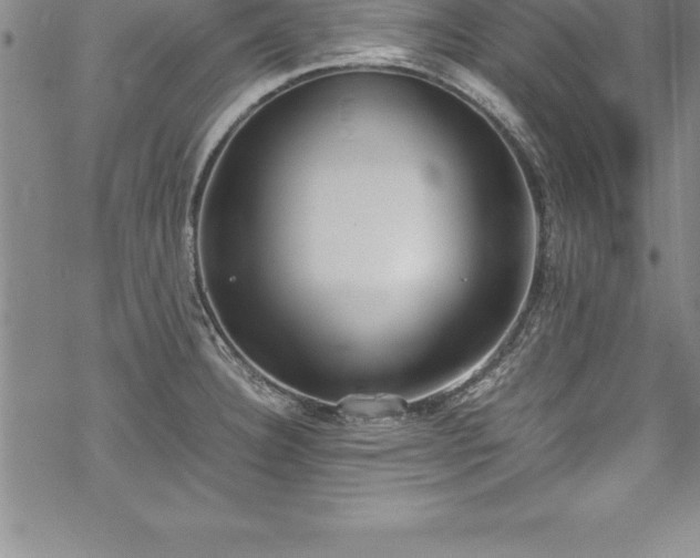 X0000069391332200605150933