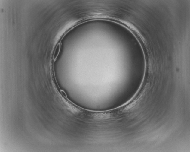 X0000069391333200605150933