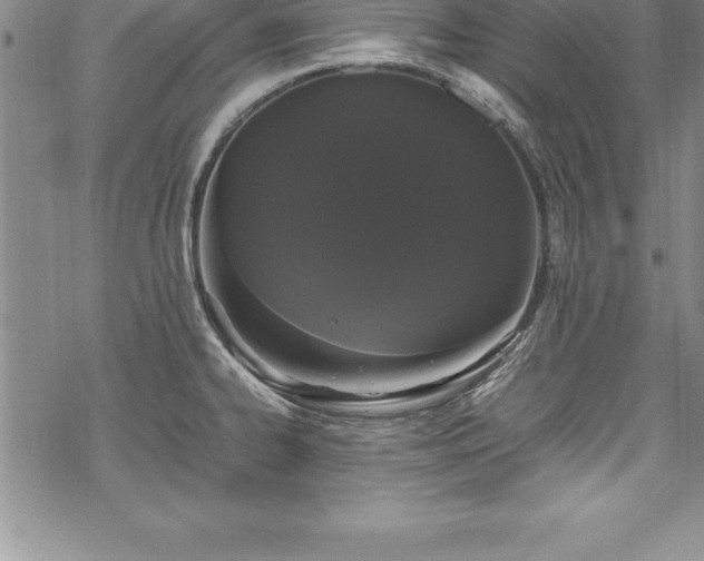 X0000069391334200605150933