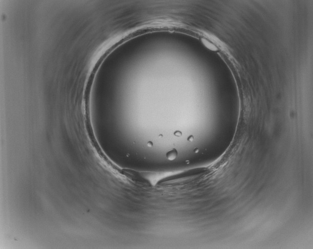 X0000069391335200605150933