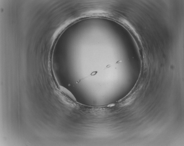 X0000069391336200605150933