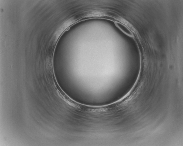 X0000069391337200605150933