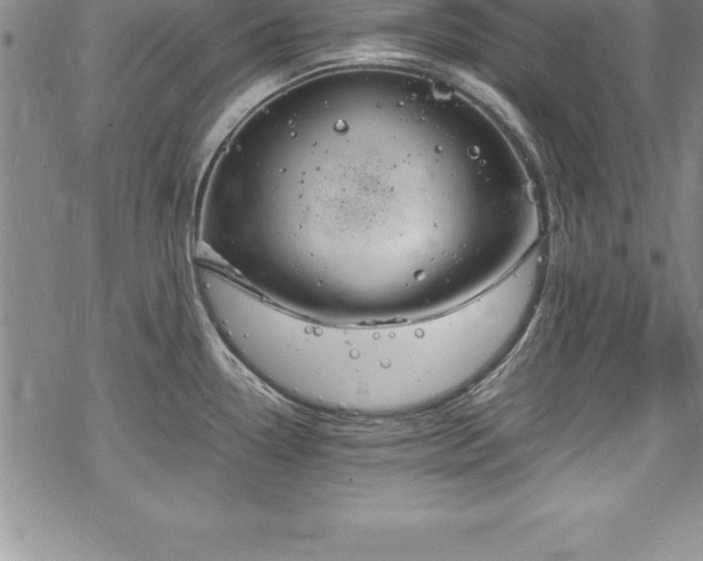 X0000069391338200605150933