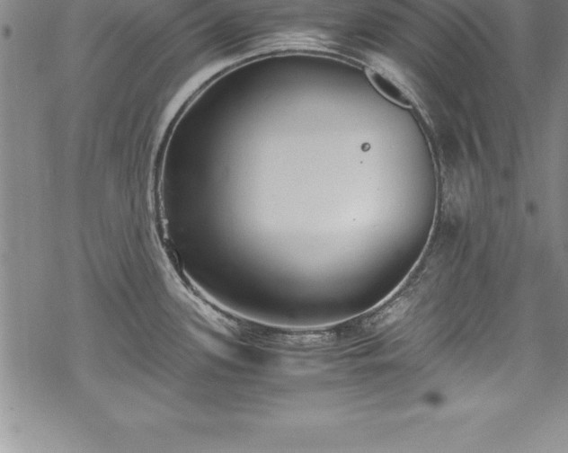 X0000069391339200605150933