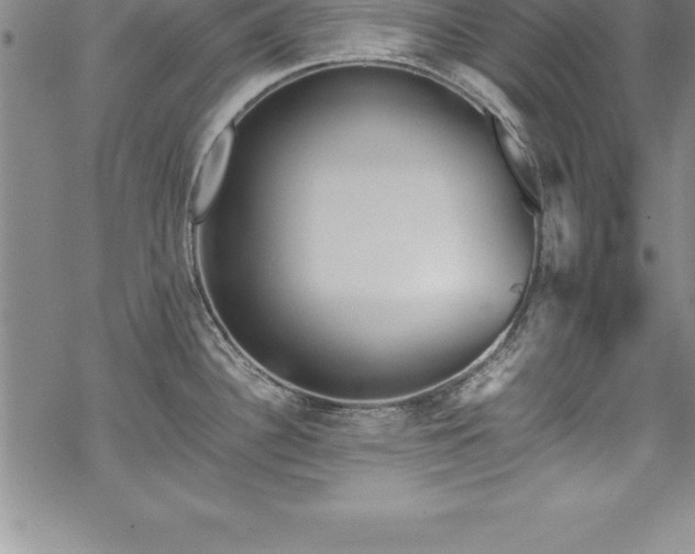 X0000069391340200605150933