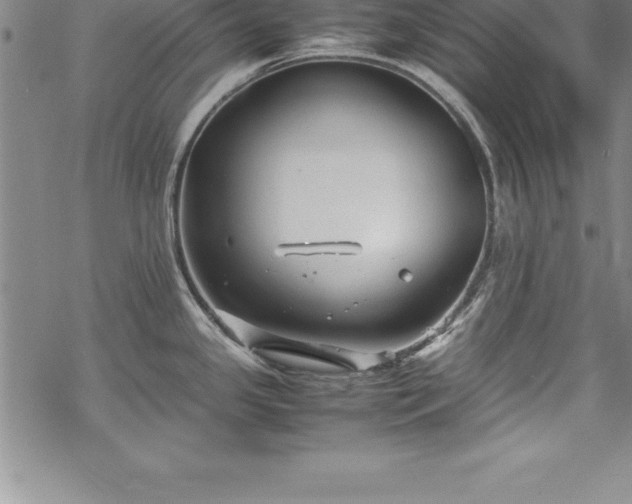 X0000069391341200605150933