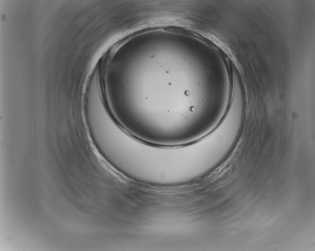 X0000069391342200605150933